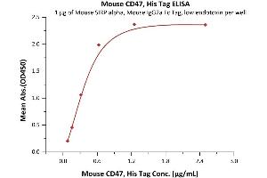 Immobilized Mouse SIRP alpha, Mouse IgG2a Fc Tag, low endotoxin (ABIN5955018,ABIN6253632) at 10 μg/mL (100 μL/well) can bind Mouse CD47, His Tag (ABIN5954913,ABIN6253634) with a linear range of 0. (CD47 Protein (CD47) (AA 19-140) (His tag))
