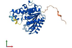 AlphaFold protein structure predicition of Mouse Recombinant Hdac11 Protein, UniprotID Q91WA3 (HDAC11 Protein (AA 1-347) (His tag))