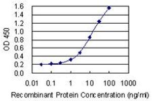 Detection limit for recombinant GST tagged UBXN11 is 0. (UBXN11 antibody  (AA 311-409))