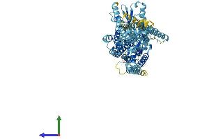 AlphaFold protein structure predicition of Mouse Recombinant Ano9 Protein, UniprotID P86044