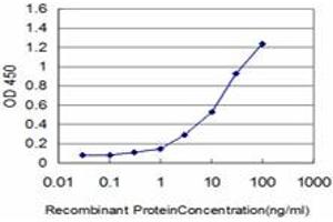 Detection limit for recombinant GST tagged FOXQ1 is approximately 0. (FOXQ1 antibody  (AA 110-219))