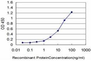 FOXQ1 antibody  (AA 110-219)