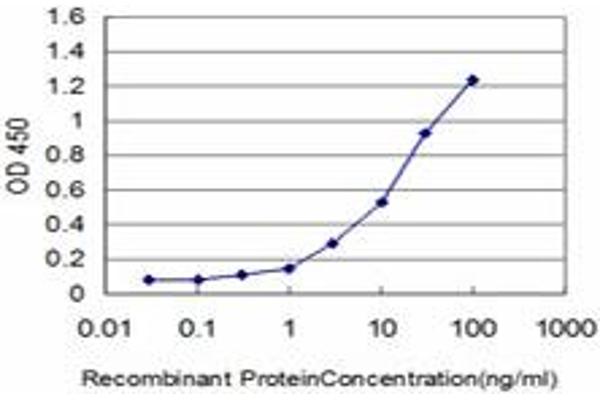 FOXQ1 antibody  (AA 110-219)