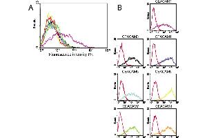 Fig. (CEACAM1 antibody)
