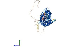Protein Structure (PS) image for Junction Plakoglobin (JUP) (AA 1-745) protein (His tag) (ABIN7554977)