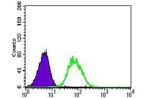 Flow cytometric analysis of HeLa cells using NES mouse mAb (green) and negative control (purple).