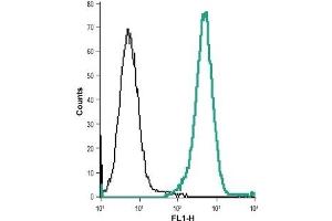 Cell surface detection of CysLTR2 in live intact acute monocytic leukemia (THP-1) cells: (black line) Control cells + goat anti-rabbit-AlexaFluor-488. (CasLTR2 antibody  (Extracellular))