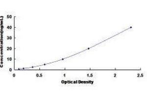 Typical standard curve (PCOLCE ELISA Kit)