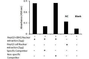 Transcription factor activity assay of NRF2 from nuclear extracts of HepG2 cells or HepG2 cells treated with tBHQ (90uM) for 24 hr with the specific competitor or non-specific competitor. (NRF2 ELISA Kit)