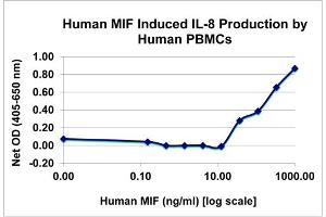 SDS-PAGE of Human MigSDS-PAGE of Ration Inhibitory Factor Recombinant Protein Bioactivity of Human Migration Inhibitory Factor Recombinant Protein. (MIF Protein)