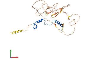 Protein Structure (PS) image for Nuclear Transcription Factor Y, alpha (NFYA) (AA 1-347) protein (His tag) (ABIN7549805)