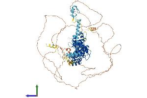 AlphaFold protein structure predicition of Human Recombinant GEN1 Protein, UniprotID Q17RS7 (GEN1 Protein (AA 1-908) (His tag))