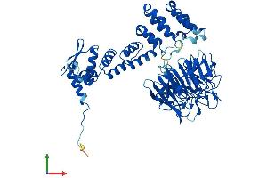 AlphaFold protein structure predicition of Human Recombinant KLHL18 Protein, UniprotID O94889