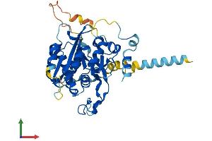 AlphaFold protein structure predicition of Human Recombinant B3GALT4 Protein, UniprotID O96024