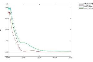 Image no. 1 for Testosterone protein (Ovalbumin) (ABIN1880132) (Testosterone Protein (Ovalbumin))