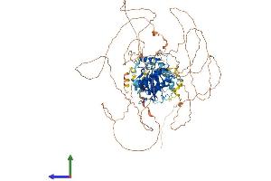 Protein Structure (PS) image for Microtubule Associated serine/threonine Kinase-Like (MASTL) (AA 1-879) protein (His tag) (ABIN7554059)