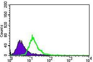 Flow Cytometry (FACS) image for anti-Chromogranin A (CHGA) (AA 87-252) antibody (ABIN1724755)