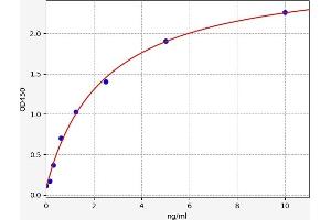 Typical standard curve (Sulfiredoxin 1 ELISA Kit)