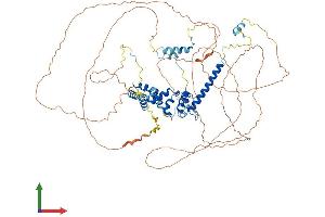 AlphaFold protein structure predicition of Mouse Recombinant Eloa Protein, UniprotID Q8CB77 (TCEB3 Protein (AA 1-773) (His tag))