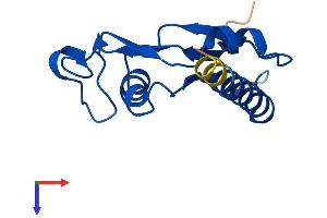 Pyroglutamyl-Peptidase I-Like (PGPEP1L) (AA 1-130) protein (His tag)