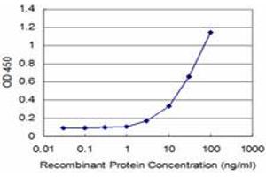 Detection limit for recombinant GST tagged MEOX2 is approximately 3ng/ml as a capture antibody. (MEOX2 antibody  (AA 1-303))