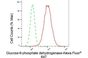 Flow cytometric analysis of Glucose-6-phosphate dehydrogenase expression in HepG2 cells using Glucose-6-phosphate dehydrogenase antibody (ABIN7798733), 1:2,000).