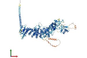 AlphaFold protein structure predicition of Mouse Recombinant Ube3b Protein, UniprotID Q9ES34 (UBE3B Protein (AA 1-1070) (His tag))
