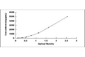 Typical standard curve (MSTN ELISA Kit)