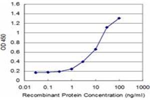 Detection limit for recombinant GST tagged PYGM is approximately 1ng/ml as a capture antibody. (PYGM antibody  (AA 734-842))