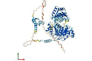 Protein Structure (PS) image for DEAD (Asp-Glu-Ala-Asp) Box Polypeptide 43 (DDX43) (AA 1-648) protein (His tag) (ABIN7547050)