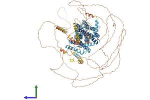 AlphaFold protein structure predicition of Human Recombinant SLC24A1 Protein, UniprotID O60721