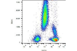 Flow cytometry analysis (surface staining) of human peripheral blood with anti-CD48 (MEM-102) PE. (CD48 antibody  (PE))