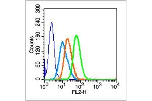 HL-60 cells were fixed with 4% PFA for 10min at room temperature, 0. (BRCA1 antibody  (pSer1524))