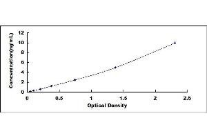 Typical standard curve (ADAMTS7 ELISA Kit)