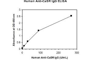 ELISA image for Anti-Calcium Sensing Receptor IgG Antibody (CaSR IgG) ELISA Kit (ABIN1305169)