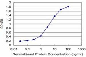 Detection limit for recombinant GST tagged HMBS is approximately 0. (HMBS antibody  (AA 1-361))