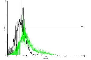 FACS analysis of negative control 293 cells (Black) and IL13RA2 expressing 293 cells (Green) using IL13RA2 purified MaxPab mouse polyclonal antibody. (IL13RA2 antibody  (AA 1-380))