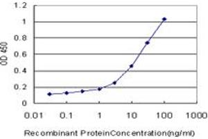 Detection limit for recombinant GST tagged MAP2K5 is approximately 0. (MAP2K5 antibody  (AA 1-448))