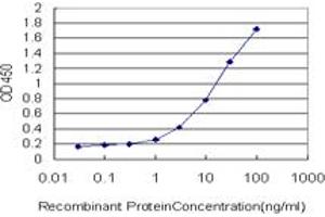 Detection limit for recombinant GST tagged LAMC1 is approximately 0. (Laminin gamma 1 antibody  (AA 1-38))