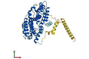 AlphaFold protein structure predicition of Mouse Recombinant Fdft1 Protein, UniprotID P53798 (FDFT1 Protein (AA 1-416) (His tag))