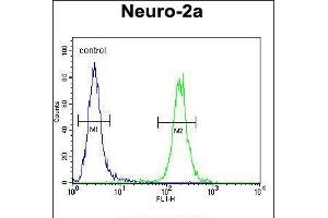 Flow cytometric analysis of Neuro-2a cells (right histogram) compared to a negative control cell (left histogram).