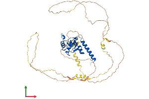 Protein Structure (PS) image for Stromal Membrane Associated Protein 1 (SMAP1) (AA 1-467) protein (His tag) (ABIN7546104)