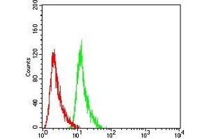 Flow Cytometry (FACS) image for anti-PMS2 Postmeiotic Segregation Increased 2 (S. Cerevisiae) (PMS2) antibody (ABIN7193691)