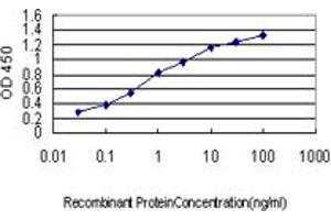Detection limit for recombinant GST tagged BCAR3 is approximately 0. (BCAR3 antibody  (AA 266-373))