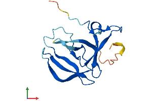AlphaFold protein structure predicition of Human Recombinant FAM72B Protein, UniprotID Q86X60 (FAM72B Protein (AA 1-149) (His tag))