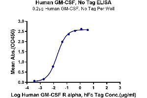 Immobilized Human GM-CSF at 2 μg/mL (100 μL/Well) on the plate. (GM-CSF Protein (AA 18-144))