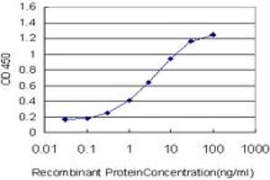 Detection limit for recombinant GST tagged NDOR1 is approximately 0. (NDOR1 antibody  (AA 498-595))