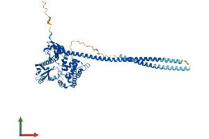 AlphaFold protein structure predicition of Human Recombinant NF2 Protein, UniprotID P35240