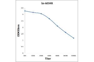 Antigen: 0. (CPA1 antibody  (AA 201-300))