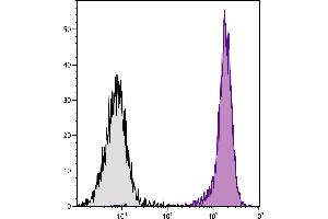 SJL mouse splenocytes were stained with Mouse Anti-Mouse CD45. (CD45.1 antibody)